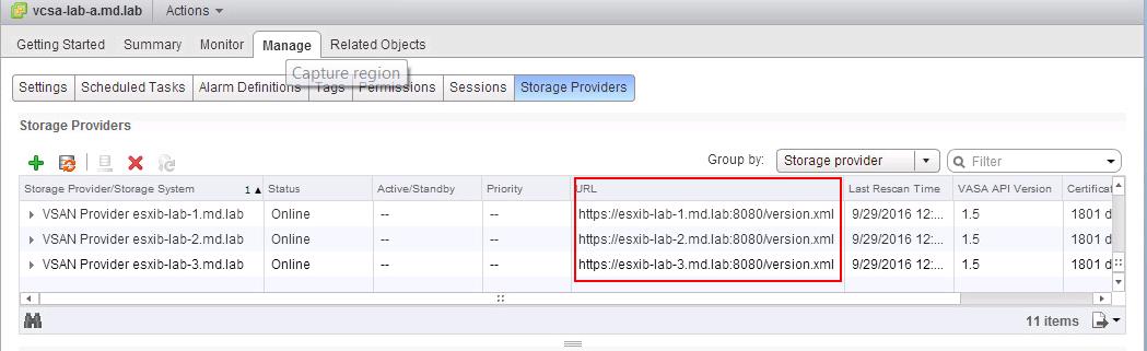 Virtual SAN Storage Providers