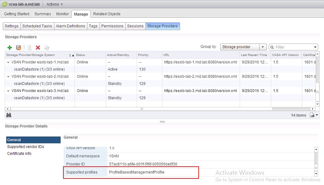 Virtual SAN Storage Providers