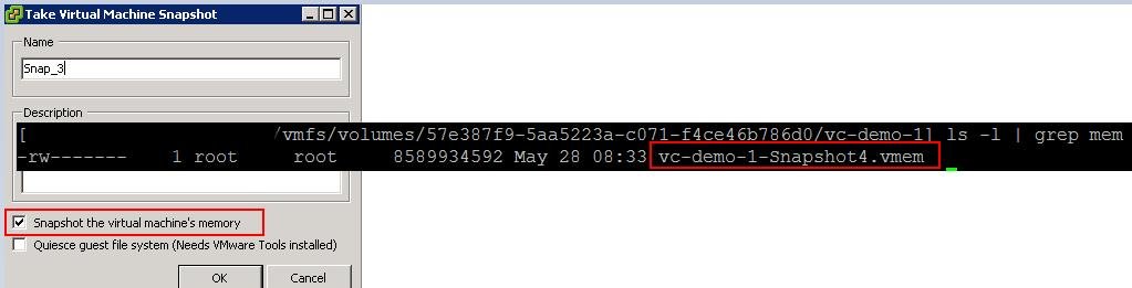 VMware snapshot