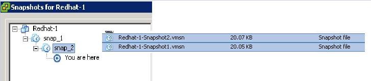 VMware Snapshot