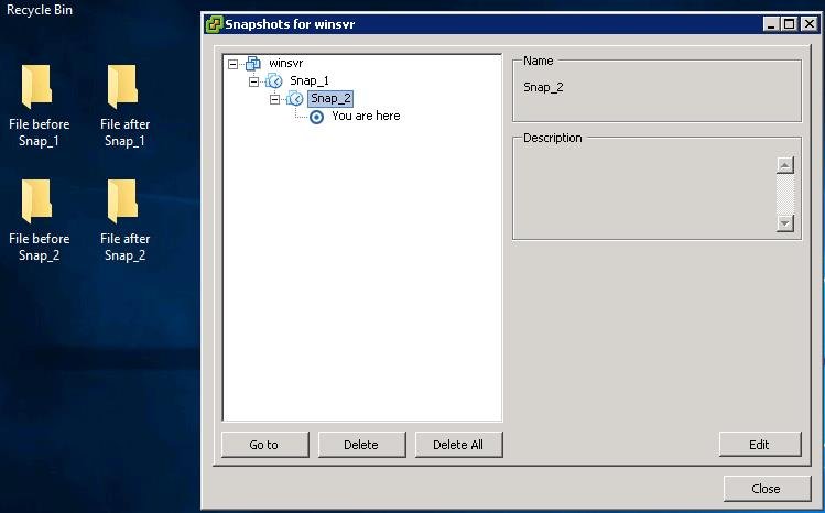 Delete All VMware Snapshots_2