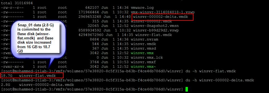 Delete Intermediate VMware Snapshots_5