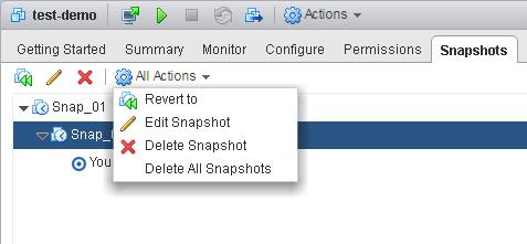 Managing VMware Snapshots