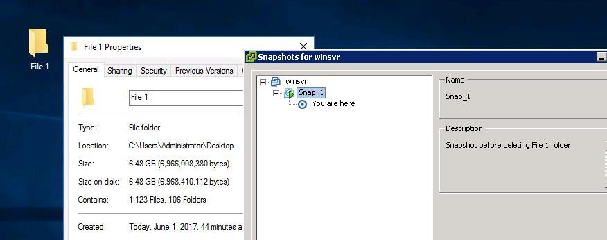 Reverting VMware Snapshots_8