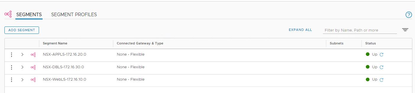 NSX-T Segment