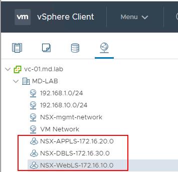 NSX-T Segment