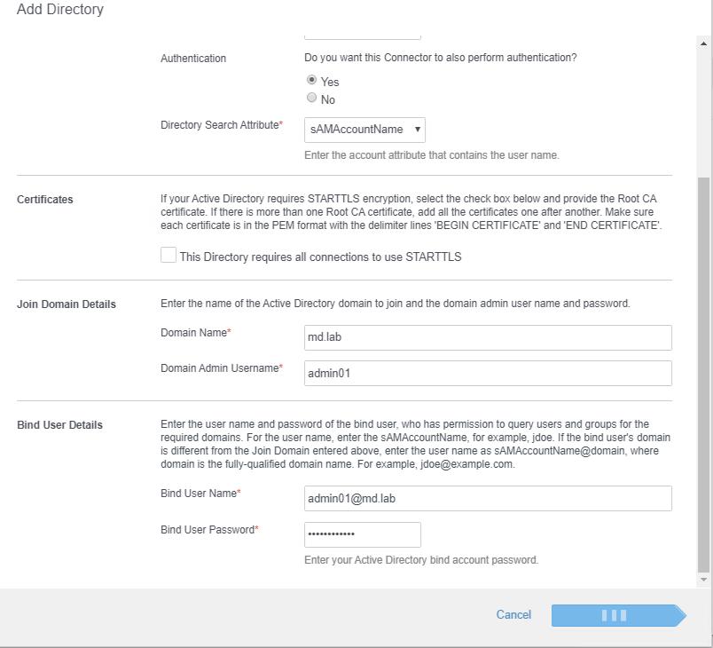 Add Active Directory Server to VIDM - domain details