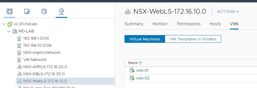 NSX-T segments