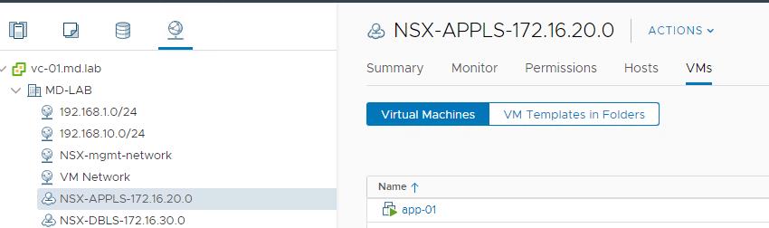 NSX-T segments