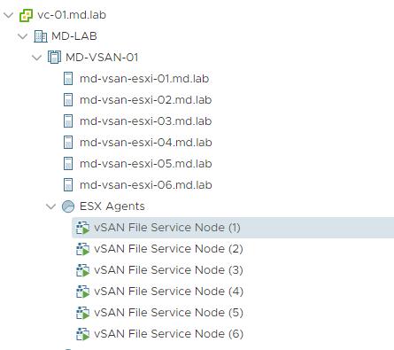 vSAN File Service