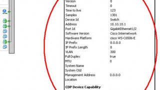 ESXi Query Network Hint: CDP information of ESXi host in Command Line