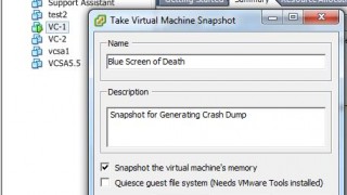 How to Generate Crash Dump for VMware Virtual Machine Guest OS Hung Issues