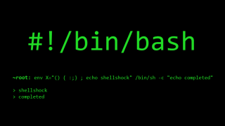 Does VMware Products are affected by "Shellshock" Bash Vulnerability ?