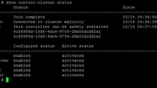 VMware NSX Installation Part 5 - Checking NSX Controller Status