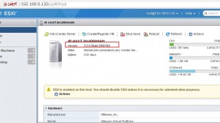 Download and Install VMware Host Client