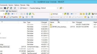 Backup vCenter Appliance 6.5 Embedded Postgres Database