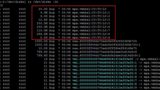 ESXi Partition