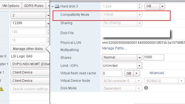 convert RDM to VMDK