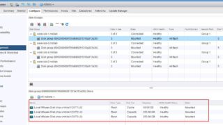 Adding Capacity Disk to VSAN Disk Group