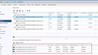 Adding Capacity Disk to VSAN Disk Group