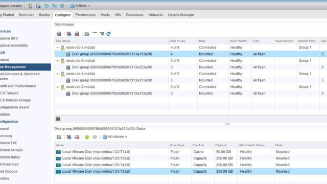Remove Capcity Disk from VSAN Disk group