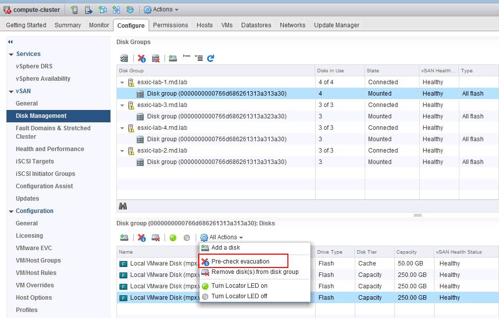 Host permissions. Лаб диск функционал. VSAN default Storage Policy. Disk grouping in Explorer. Selected VSAN datastore.