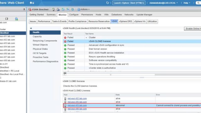 VSAN CLOMD Liveness
