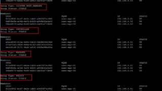 Validate the NSX-T Management Cluster Status from the NSX CLI - VMware NSX-T Part 4